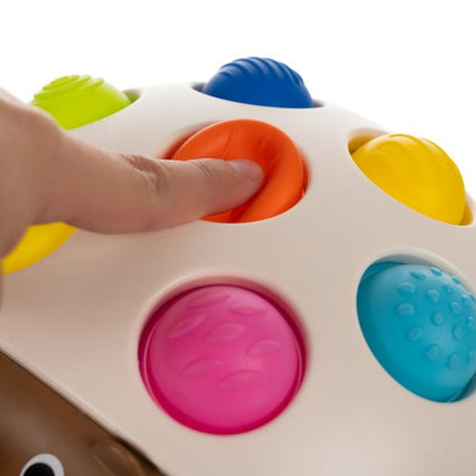 Kruzzel Sensorische Egel - Montessori Pop It Speelgoed