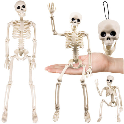 Ruhhy Halloween Skelet - 40 cm - Beweegbaar - Griezelige Decoratie