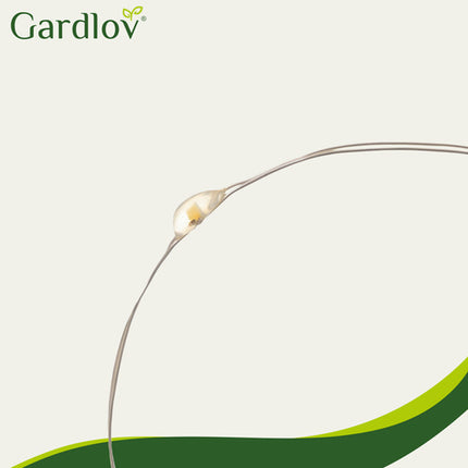 Gardlov Solar Tuinlampen - Set van 12 - 8 LED's - Koud Wit - IP65