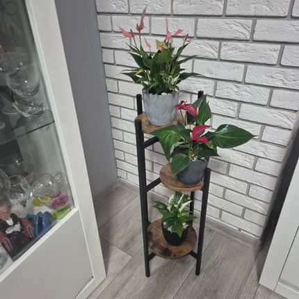 Ruhhy Industriële Bloemenstandaard - 81 cm - 3 Niveaus - Loft Stijl