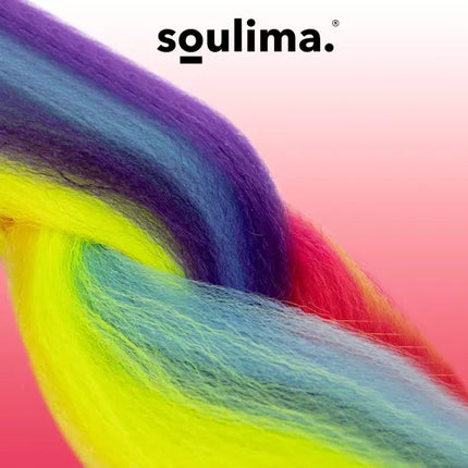 Soulima Regenboog Vlechten - 60 cm - Synthetisch Haar - Multicolor