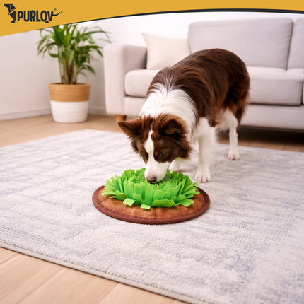 Purlov Snuffelmat voor Honden - 48 x 48 cm - Verstelbaar Educatief Speelgoed
