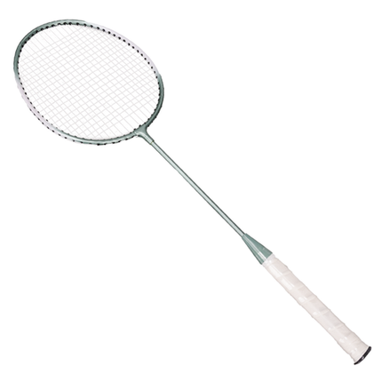 Trizand Badminton Set - Inclusief Net, 2 Rackets en Shuttlecocks
