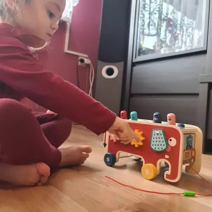 Kruzzel Houten Olifant - Educatief Trekdier - Houten Speelgoed