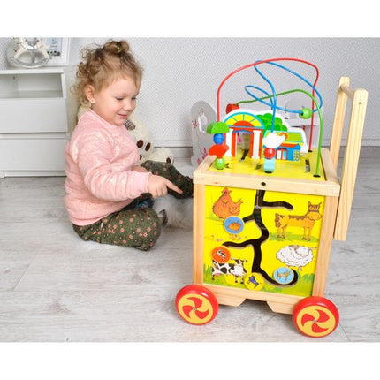 Houten Loopwagen met Educatieve Kubus – 5-in-1 Speelgoed