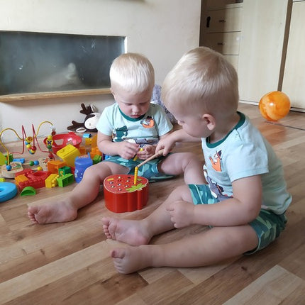 Kruzzel Houten Aardbei Vang het Wormpje Spel
