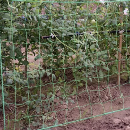 Gardlov Klimplantennet - 2 x 20 meter - Groen - Stevig Steunnet